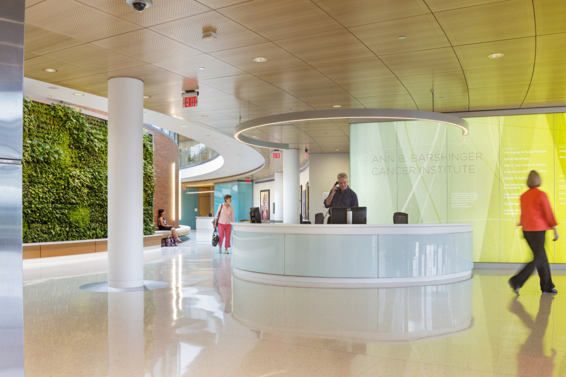 biophilic Space