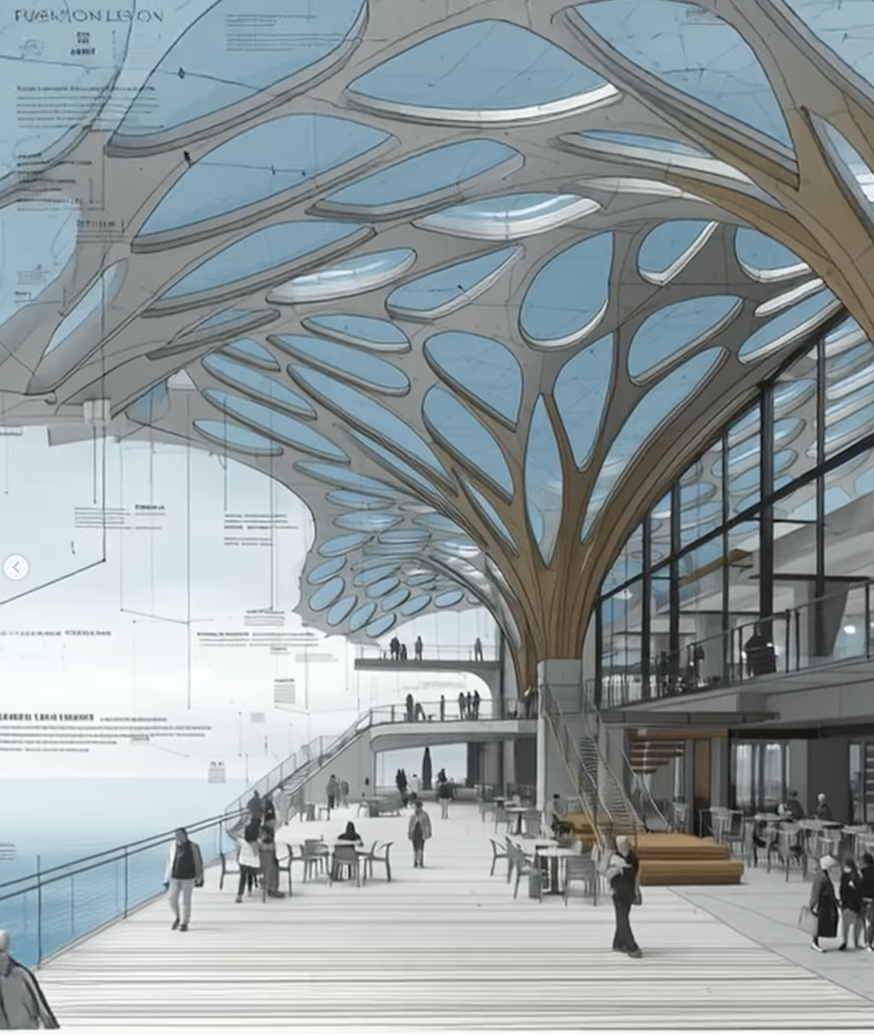 Biophilic & Biomorphic Design: Reconnecting People to Nature through ...